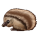 (Image: Emojipedia)